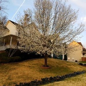 Meet your Posher, Fran